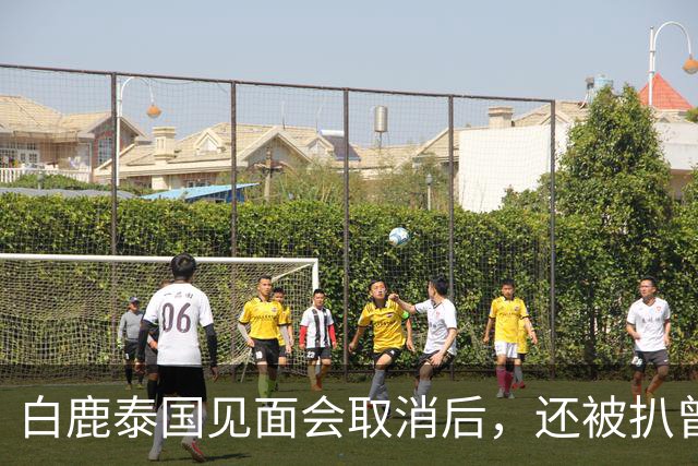 白鹿泰国见面会取消后，还被扒曾为缅北拍宣传片，知情人爆料更多