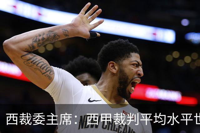 西裁委主席:西甲裁判平均水平世界最佳,误判难免